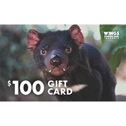 $100 Gift Card