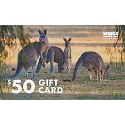 $50 Gift Card