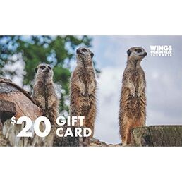 $20 Gift Card