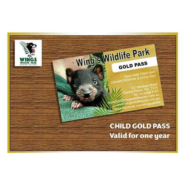 Gold Pass - Child