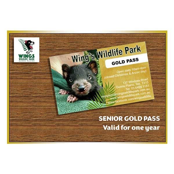 Gold Pass - Senior