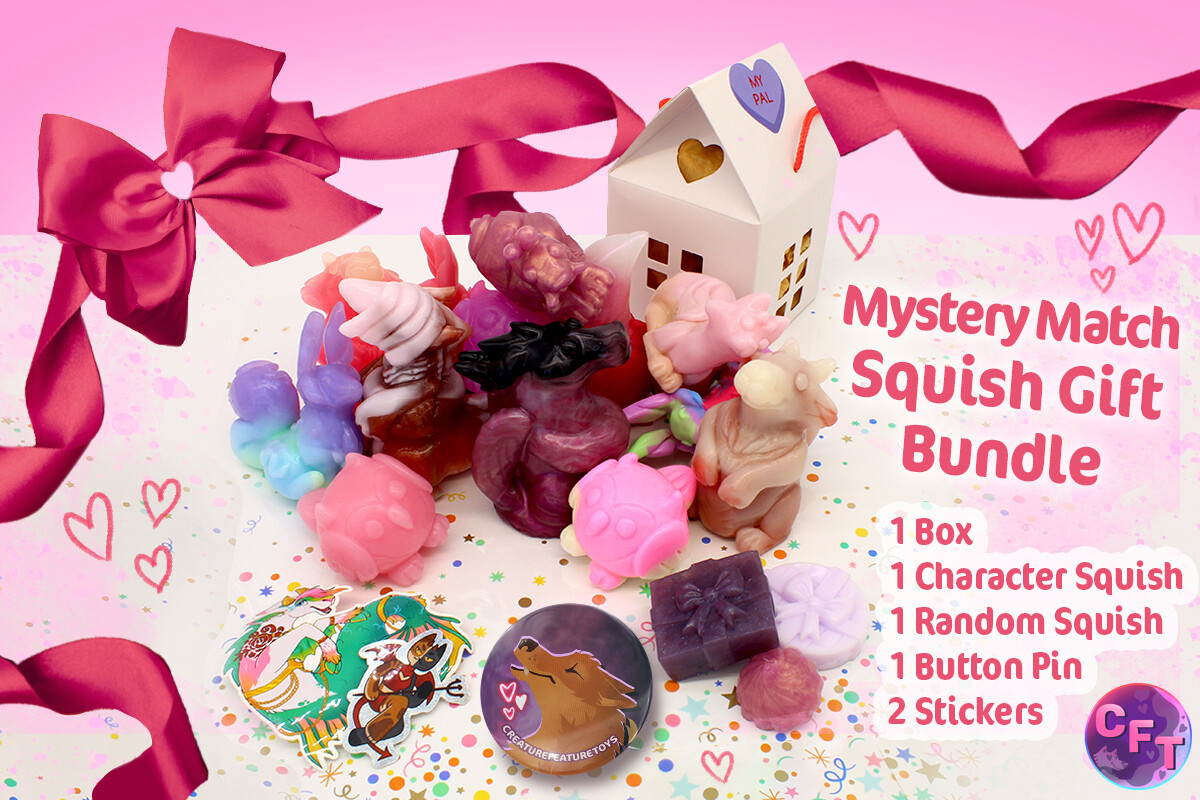 Mystery Match Squish - Gift Bundle