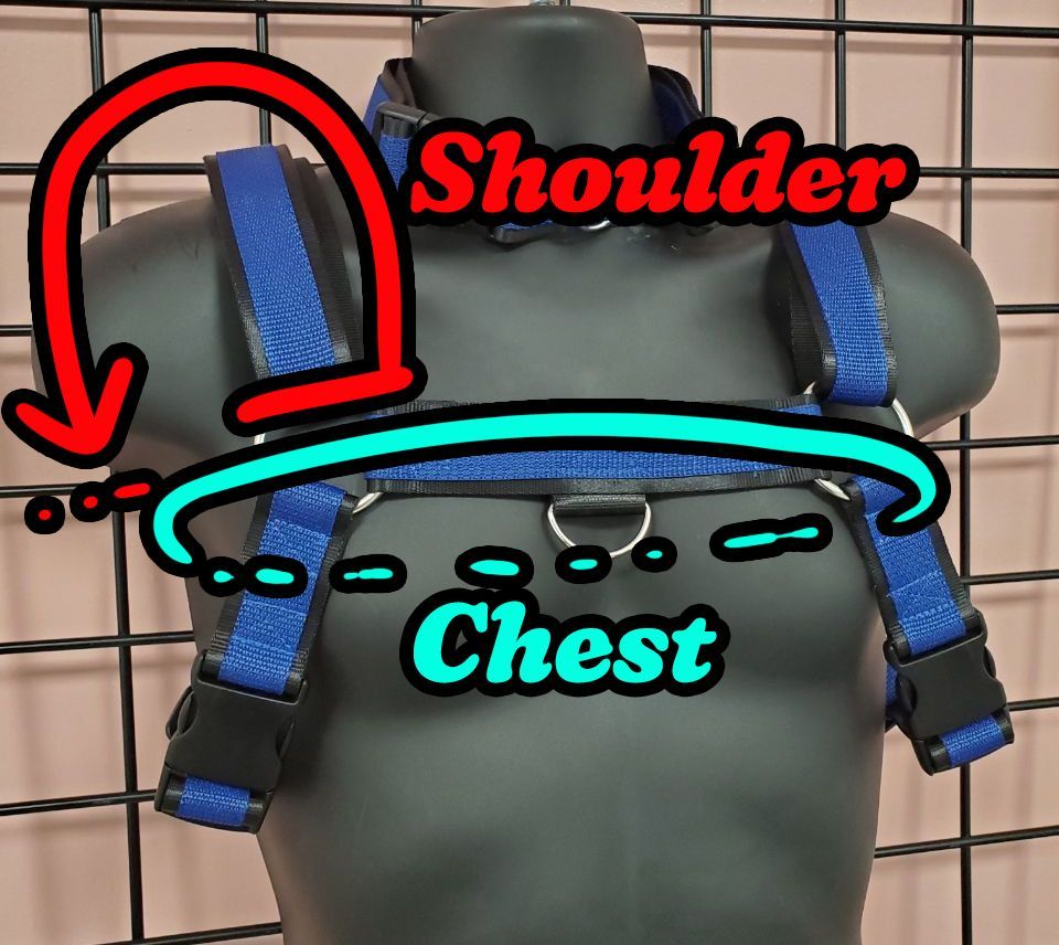 Adjustable Bulldog Harness Set