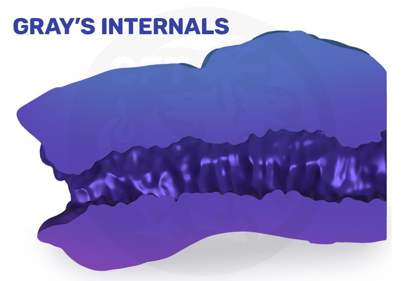 Gray - Penetrable
