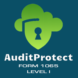 2021 Form 1065 AuditProtect Level I