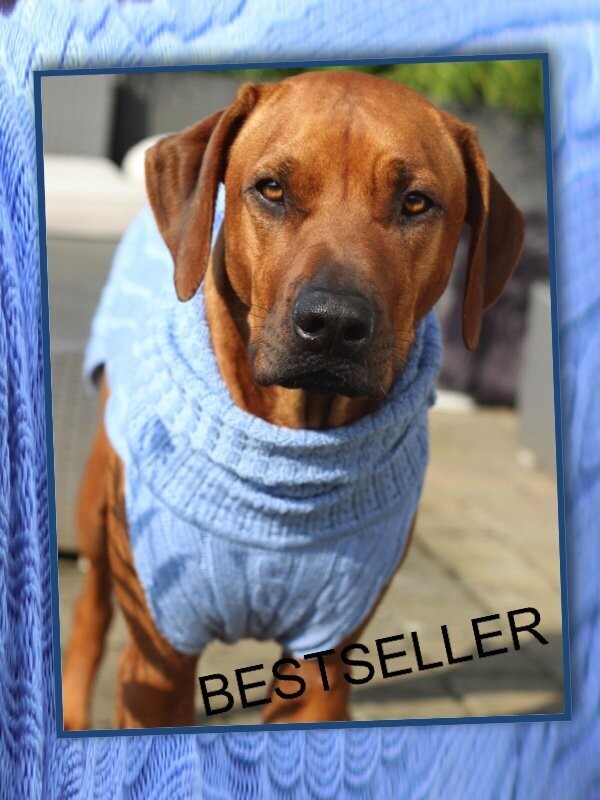 JUMPER SMARTY - HELLBLAU, SALE  100% Wolle vom Merino Schaf