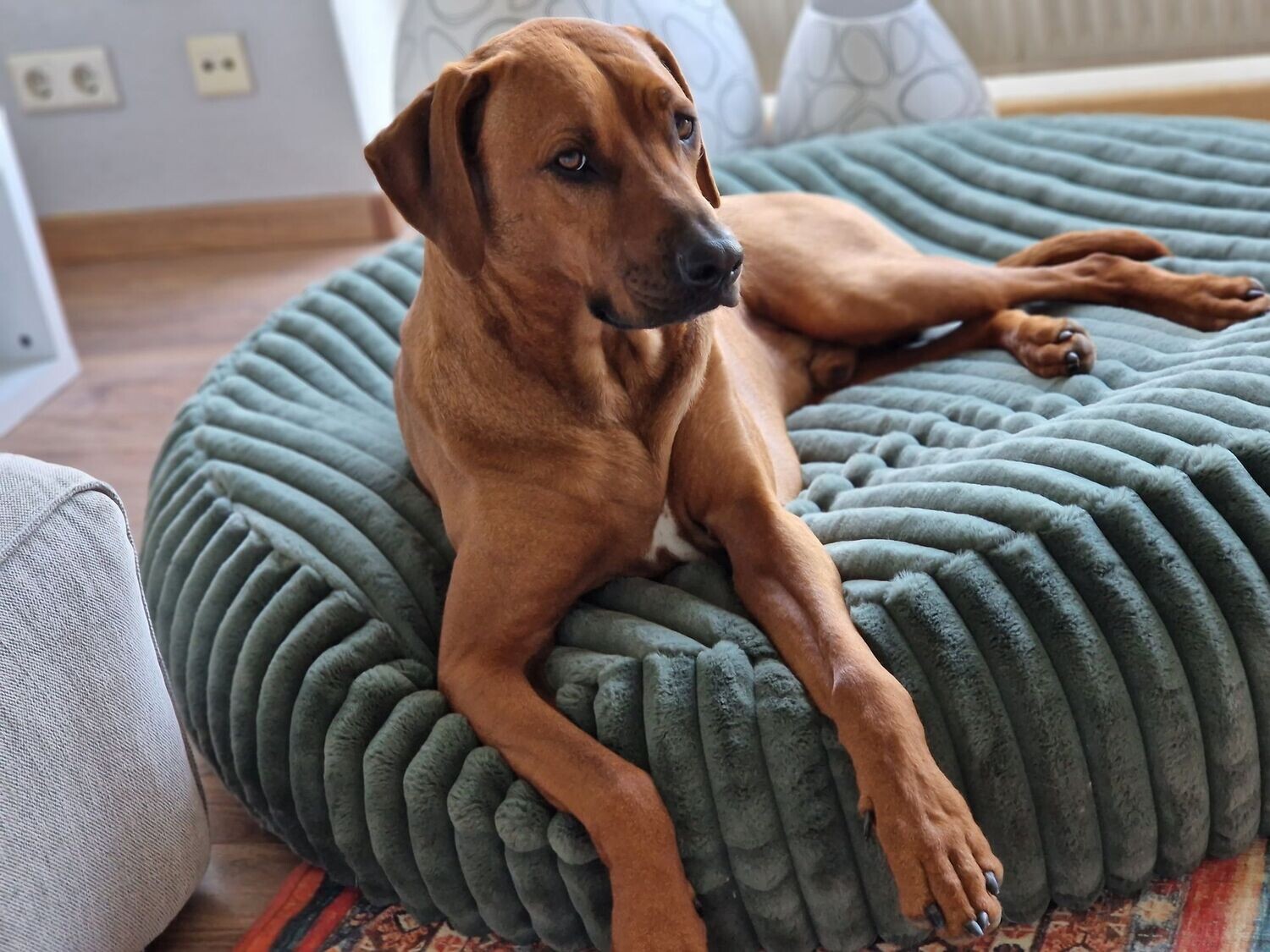 Luxus Bezug FAKE FUR " CELESTE GRÜN
