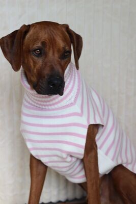 JUMPER NIGHTY Ivory meets Candy Pink Gr M, 100% Baumwolle