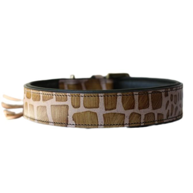 Leder Halsband Alligator - AFRICA - LINE - Leder Halsband Alligator - AFRICA - LINE -