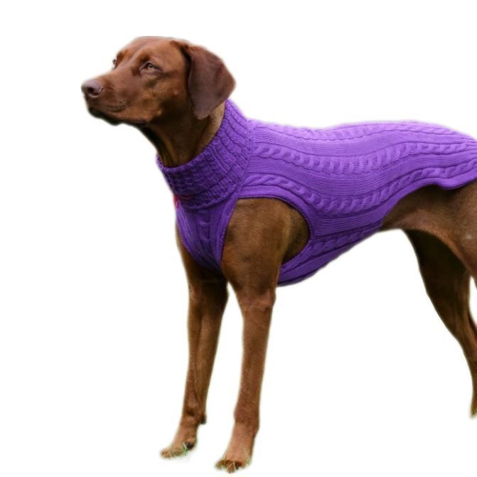 SWEATER SMARTY - VIOLETT 100% Wool