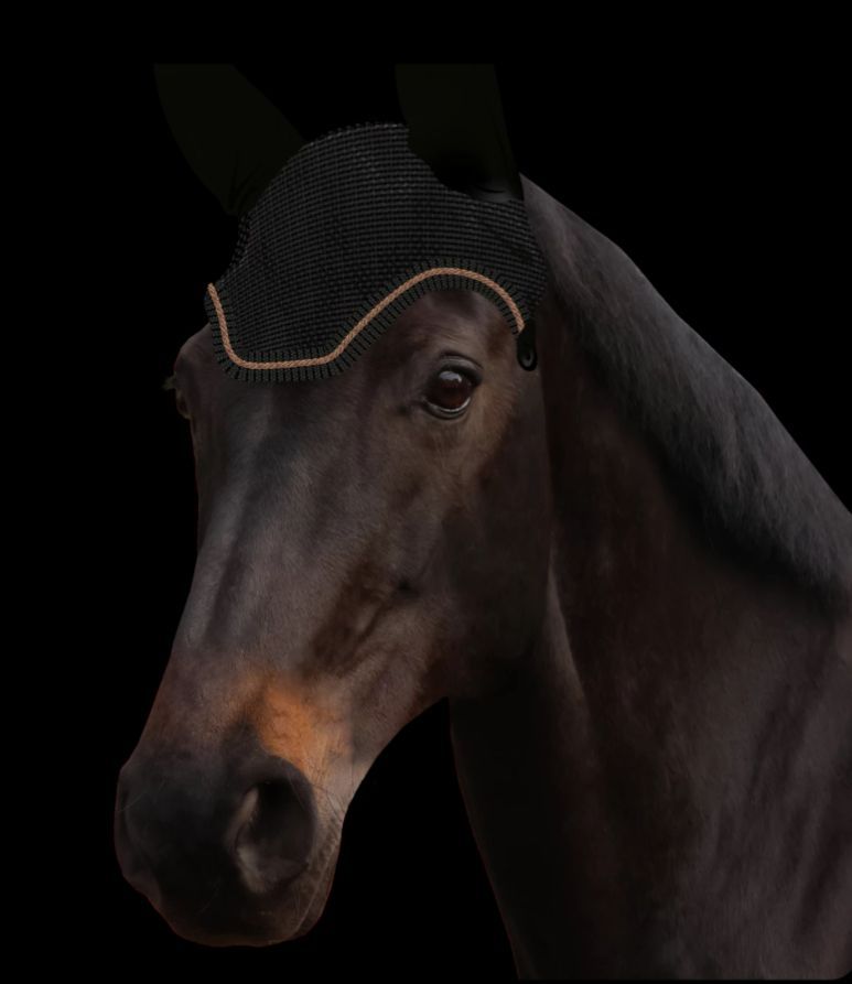 Fliegenohr  BLACK AMBER