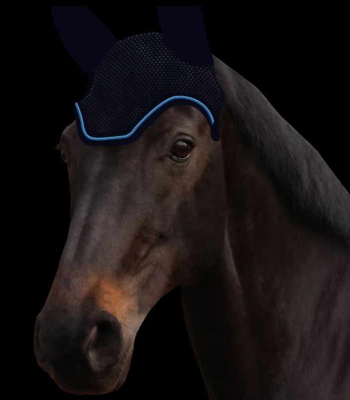 Fliegenohr BLUE WHISPER Fliegenohr BLUE WHISPER