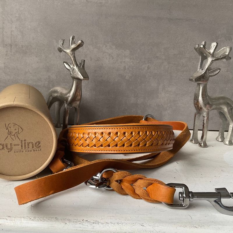 Adventsspecial set Halsband und Fettleder Leine Cinnamon Adventsspecial set Halsband und Fettleder Leine Cinnamon
