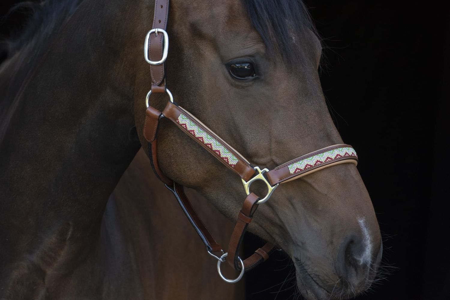 Adventsspecial set Lederhalfter & Stirnriemen WHITE PULSE