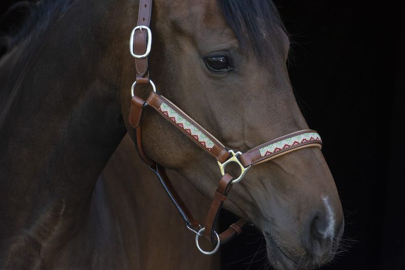 Adventsspecial set Lederhalfter & Stirnriemen WHITE PULSE