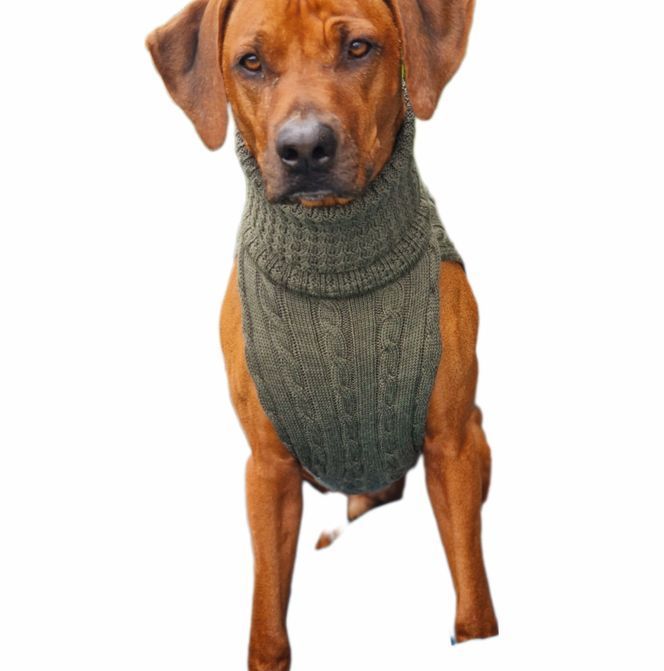 JUMPER SMARTY TASTE OF OLIVE,  - 100 % Wolle  vom Merino Schaf