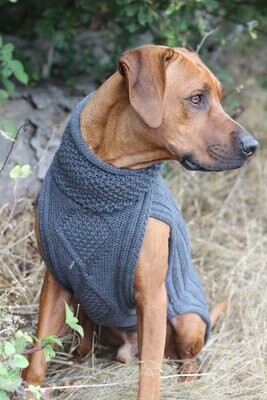 JUMPER CLASSY - ANTHRAZIT - 100% Merinowolle