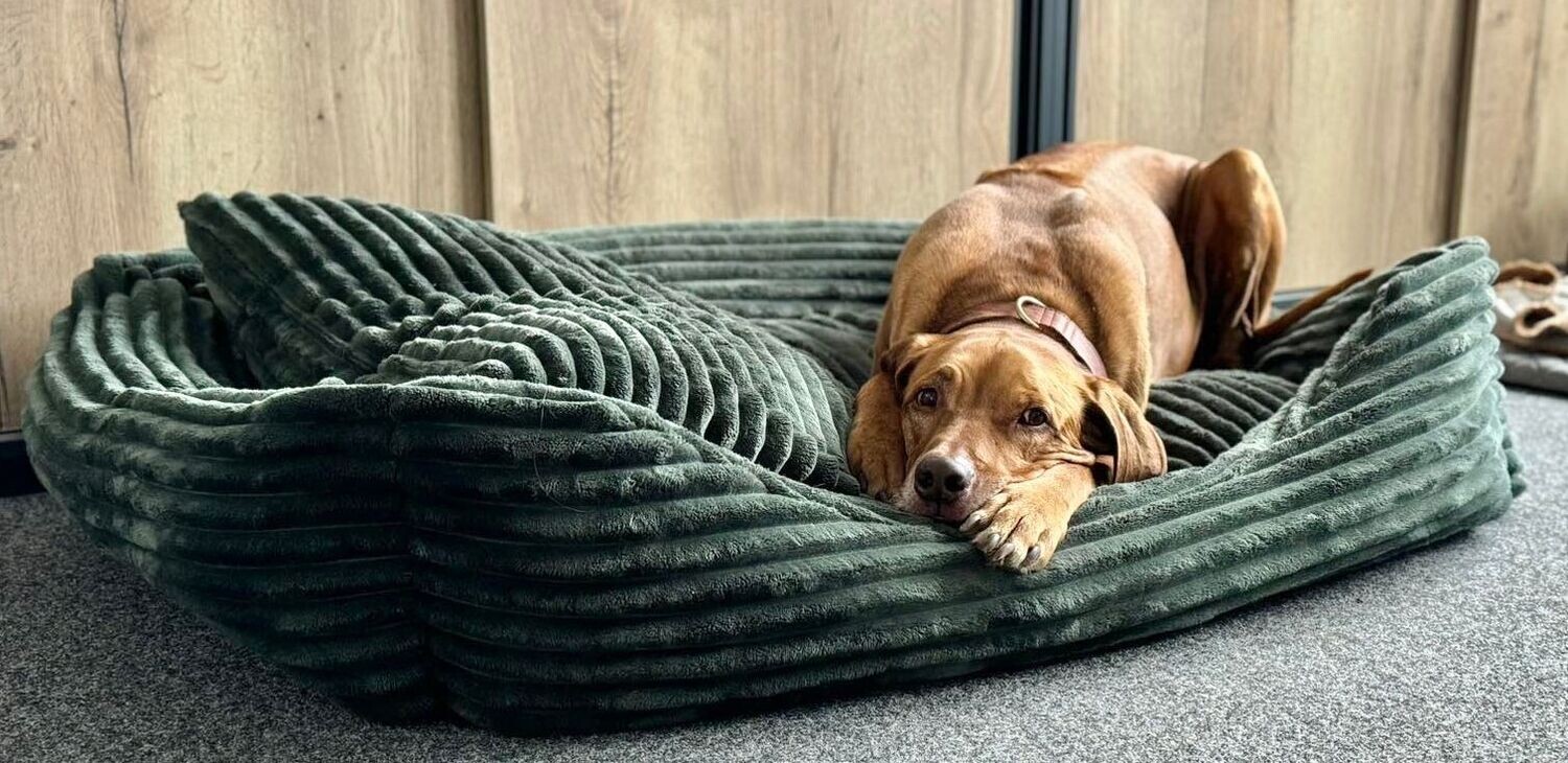 Luxus Hundebett FAKE FUR GRÜN