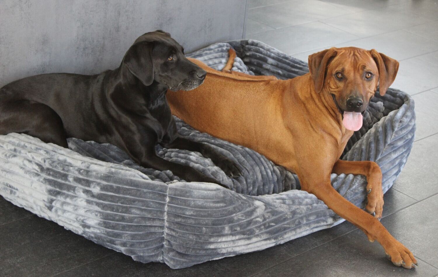 Luxus Hundebett FAKE FUR ANTHRAZIT