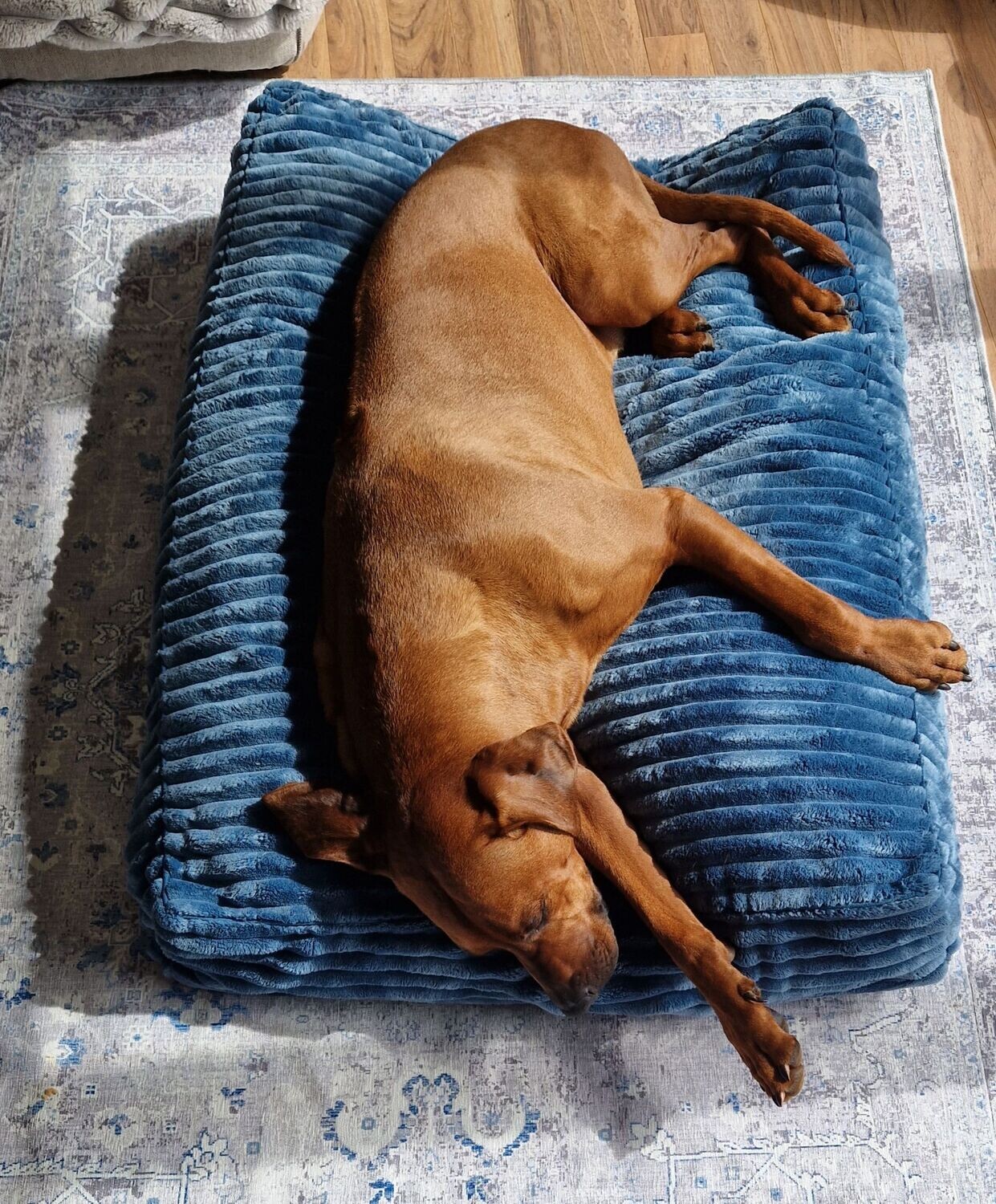 Luxus Hundekissen FAKE FUR TÜRKIS