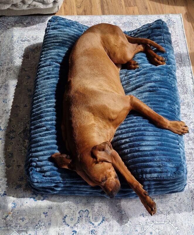 Luxus Hundekissen FAKE FUR TÜRKIS