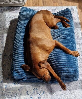 Luxus Hundekissen FAKE FUR TÜRKIS