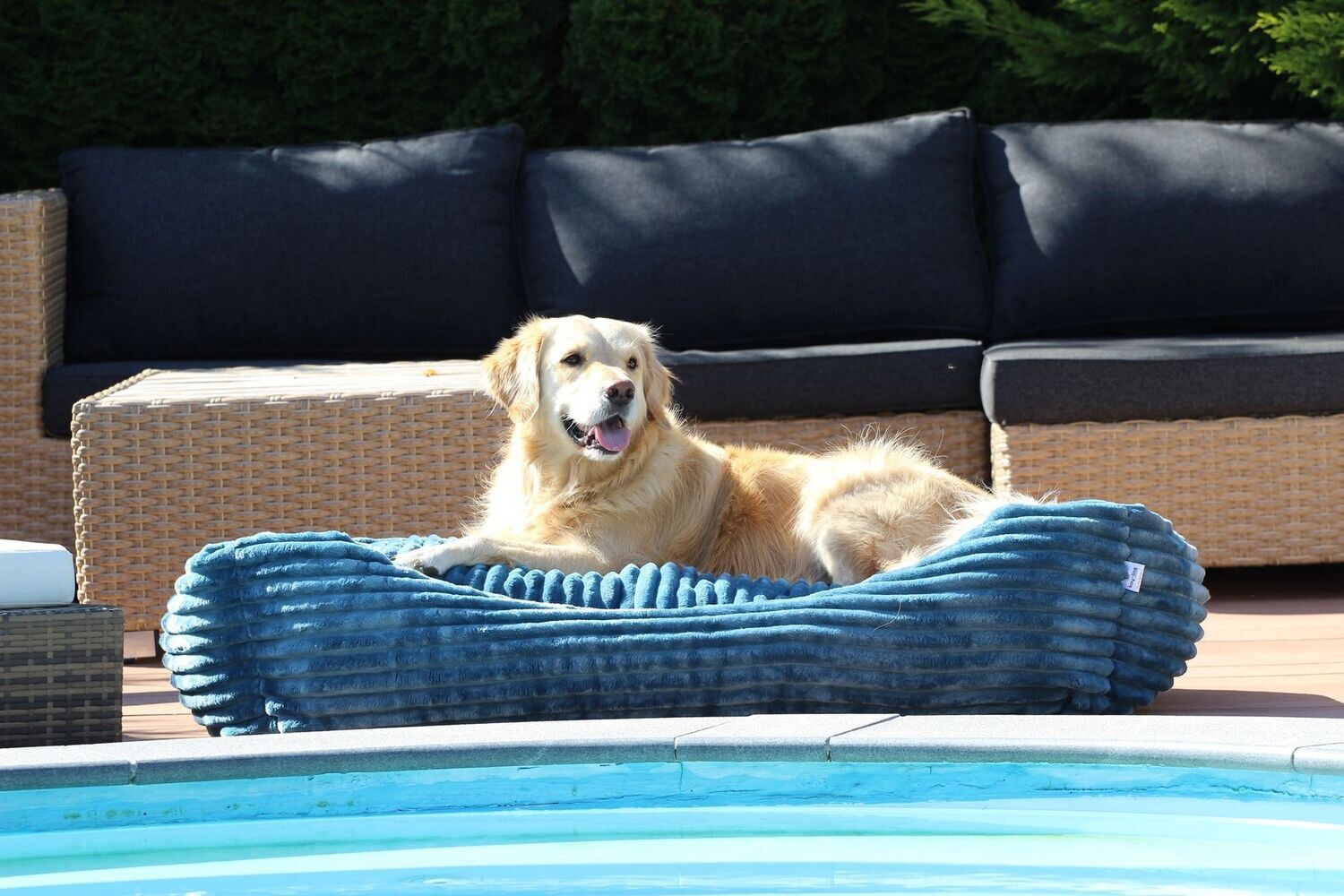 Luxus Hundebett FAKE FUR TÜRKIS