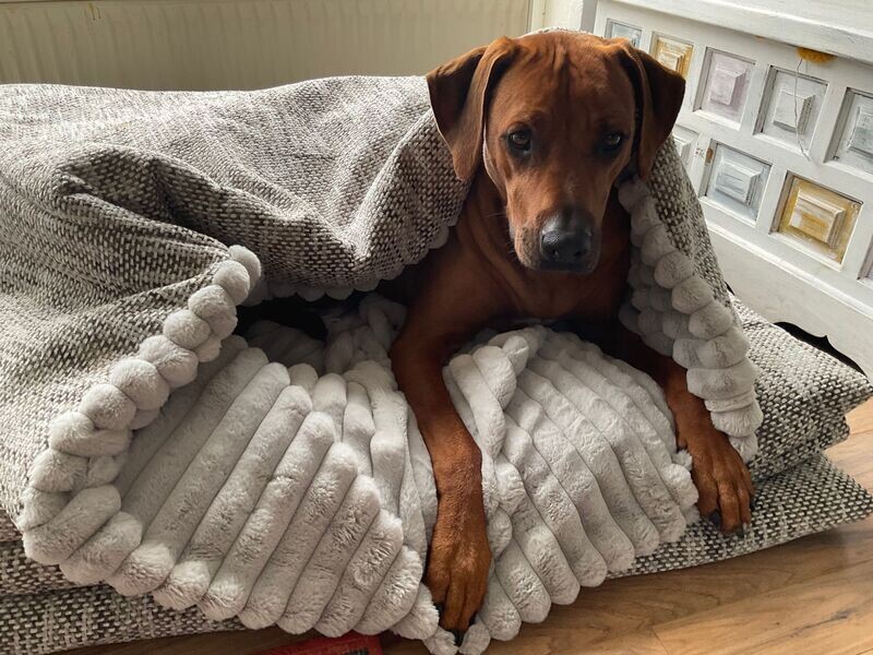 KUSCHELSACK - hellgrau