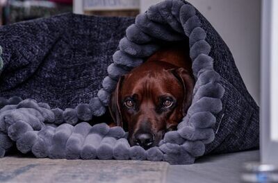 KUSCHELSACK - Anthrazit