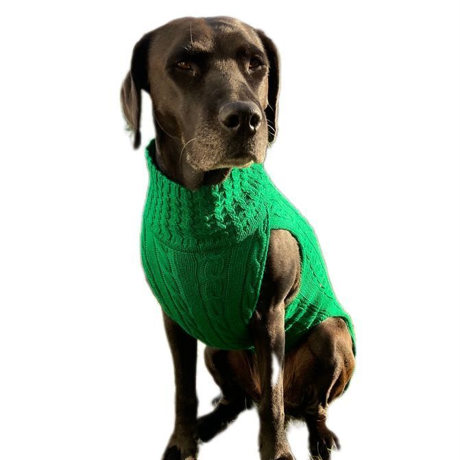 JUMPER SMARTY - GRÜN , 100 % Wolle vom Merino Schaf