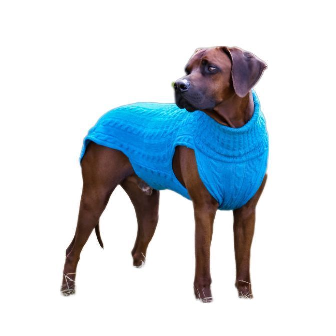 JUMPER SMARTY - TÜRKIS  , 100 % Wolle  vom Merino Schaf