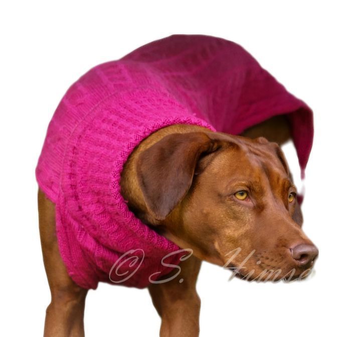 JUMPER SMARTY - PINK , -100 % Wolle vom Merino Schaf