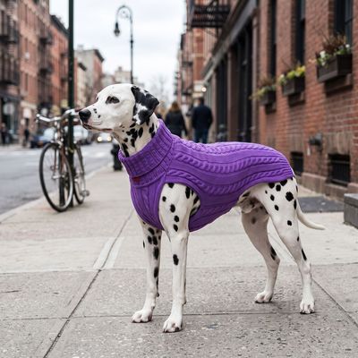 JUMPER SMARTY - VIOLETT , 100 % Wolle vom Merino Schaf JUMPER SMARTY - VIOLETT , 100 % Wolle vom Merino Schaf