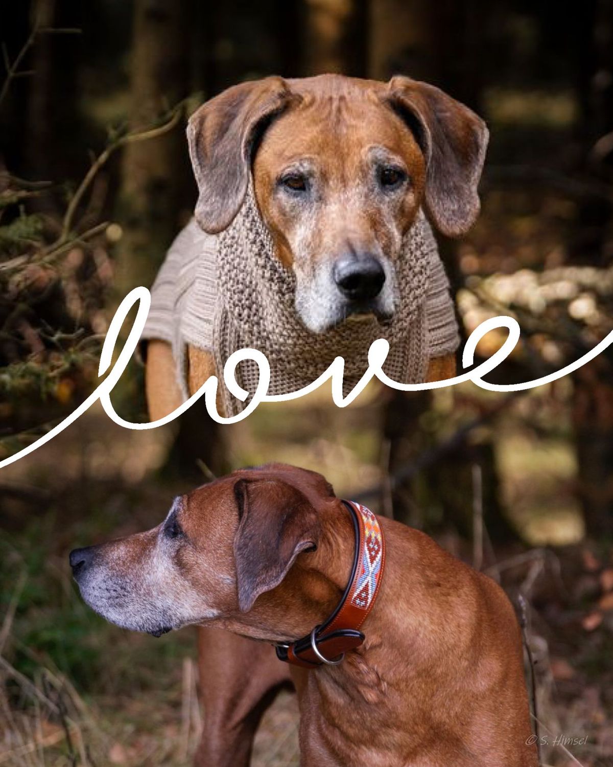 Adventsspecial set Jumper Classy Taupe  & Halsband Namib