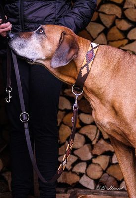 Leder Halsband CHUKKA - Karamell  new in