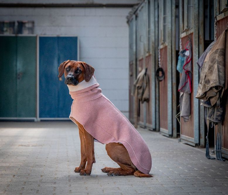 Coat TOASTY  -  Rose - 100% Wollwalk - Vorbestellung