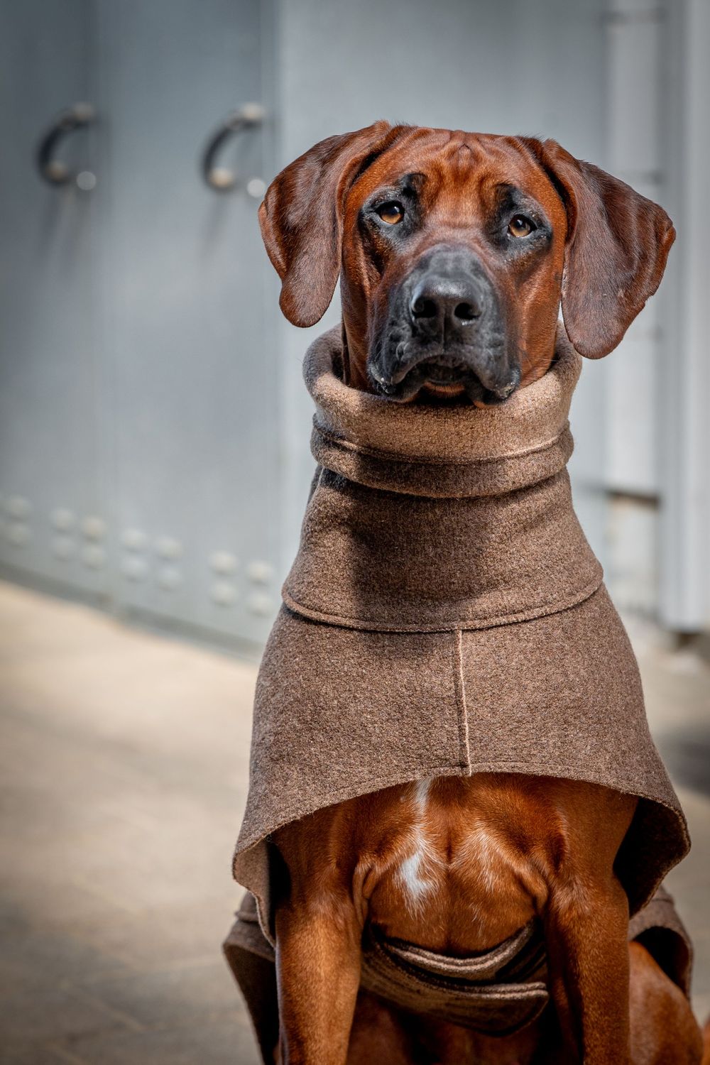 Coat TOASTY - Braun - 100% Wollwalk - Vorbestellung Coat TOASTY - Braun - 100% Wollwalk - Vorbestellung