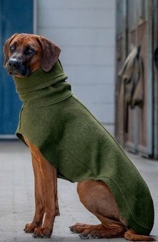 Coat TOASTY - Oliv - 100% Wollwalk - Vorbestellung Coat TOASTY - Oliv - 100% Wollwalk - Vorbestellung