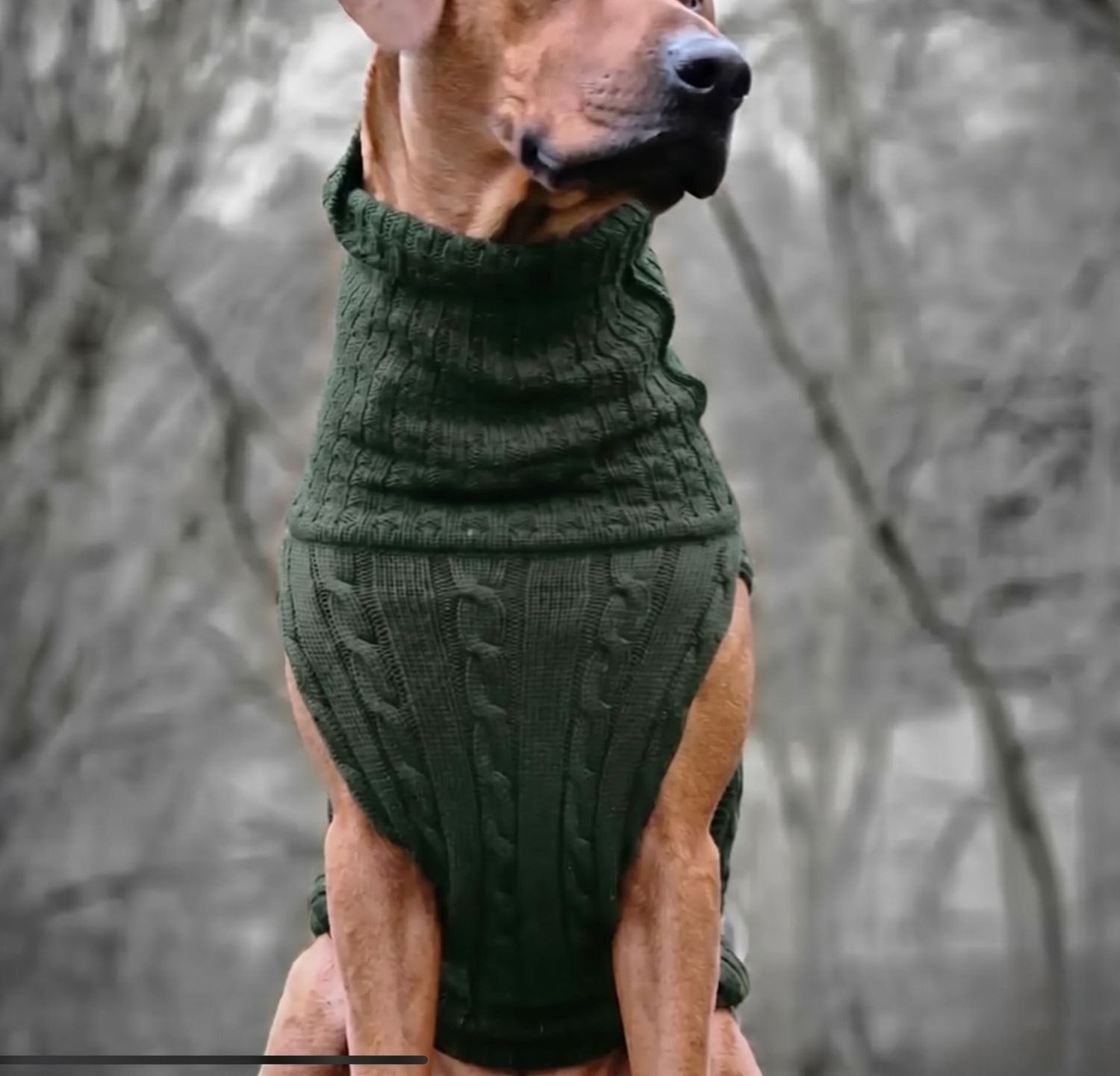 JUMPER SMARTY - dark olive - JUMPER SMARTY - dark olive -