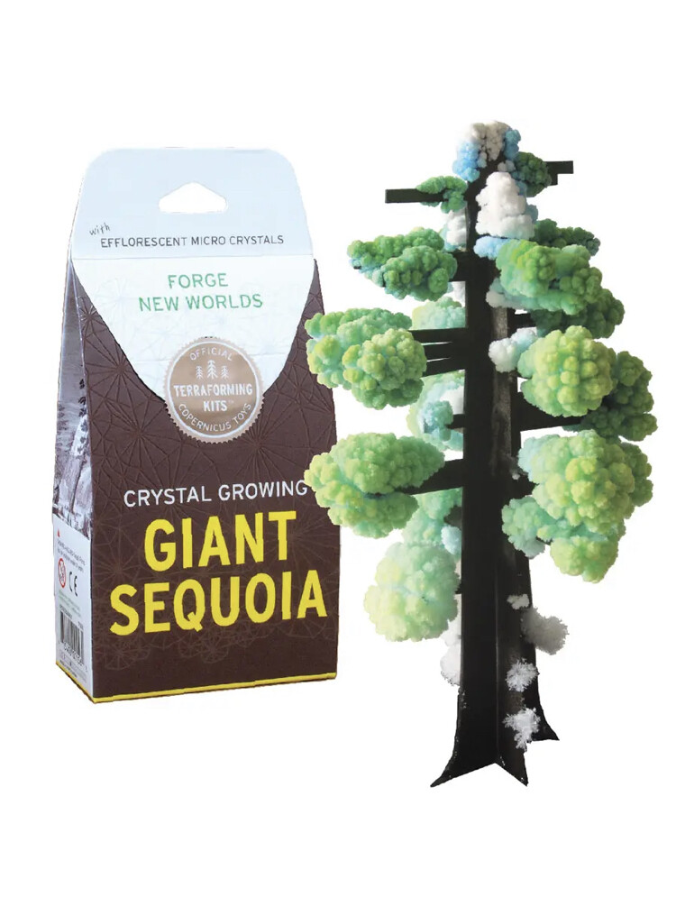 Copernicus Growing Crystal Sequoia 