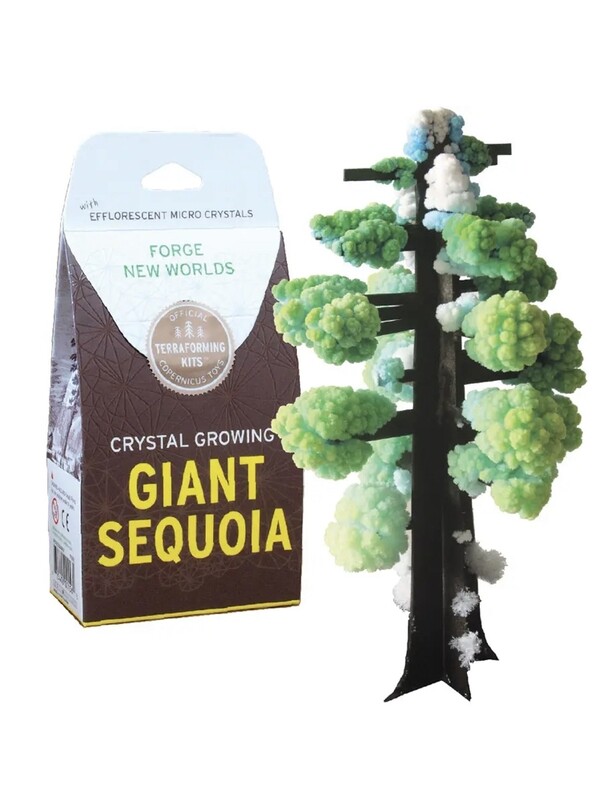 Copernicus Growing Crystal Sequoia 