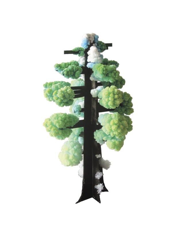 Copernicus Growing Crystal Sequoia 