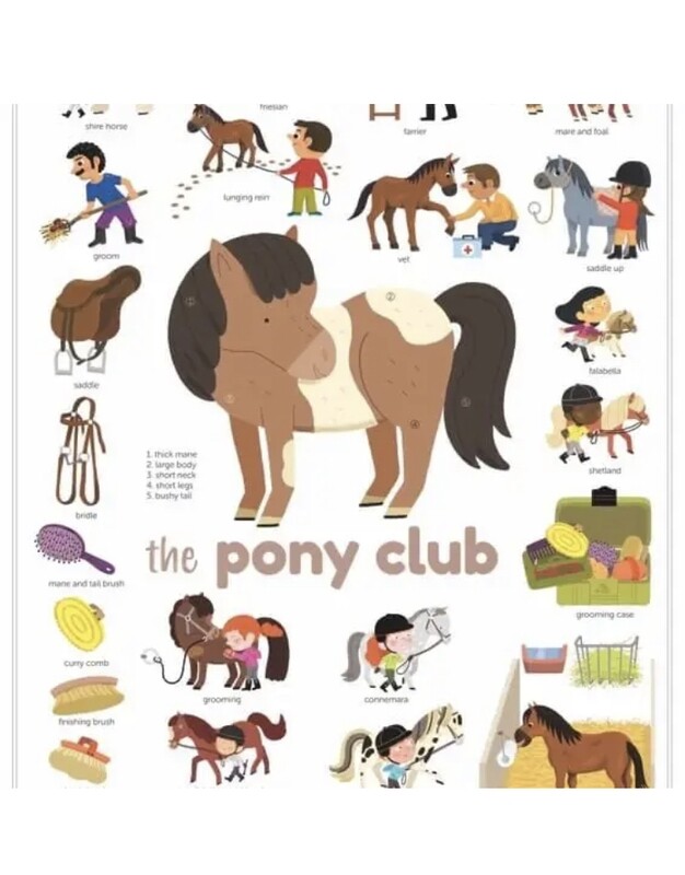 Poppik Pony Club Mini Discovery