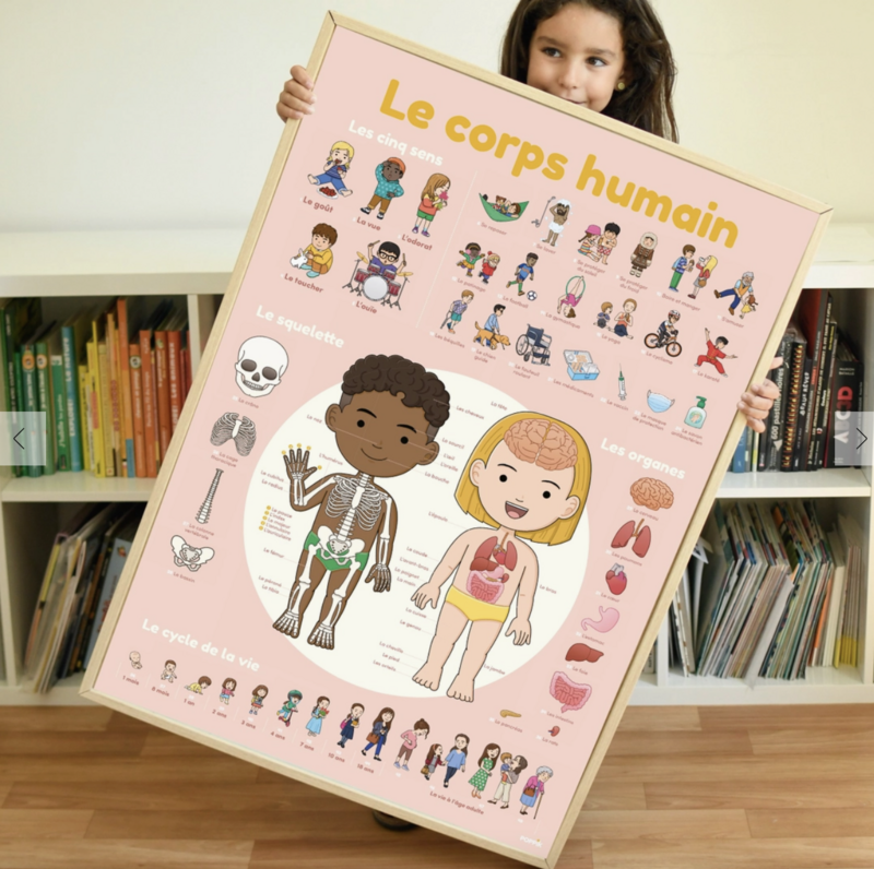 Poppik Human Body Discovery Poster