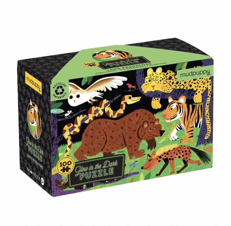 Chronicle Glow in the Dark Puzzle
