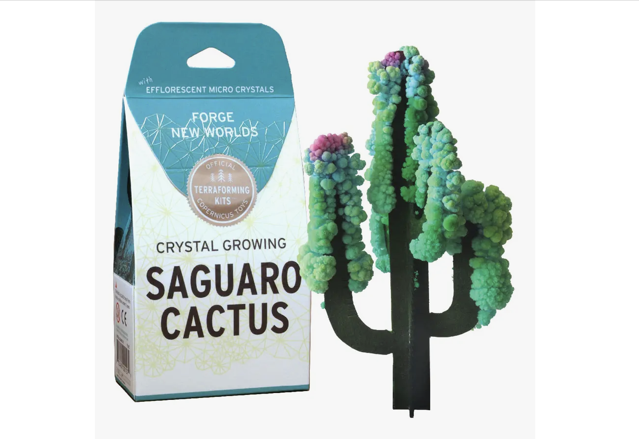 Copernicus Crystal Growing Segura 