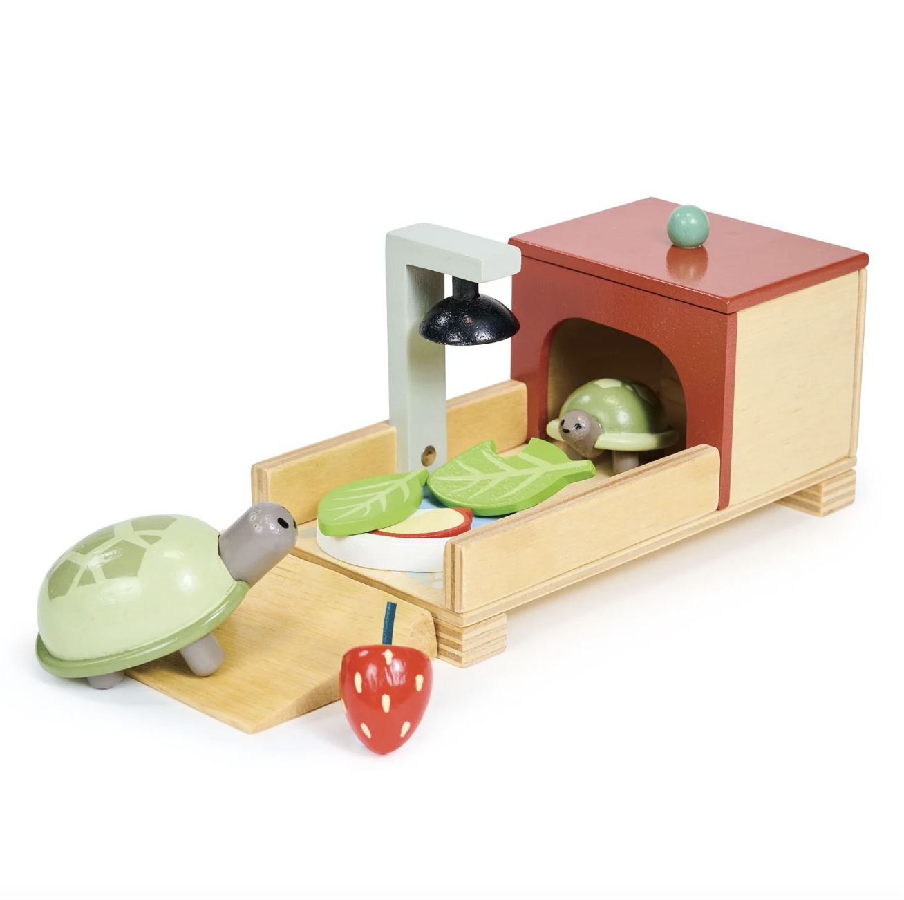 Tender Leaf Tortoise Pet Set
