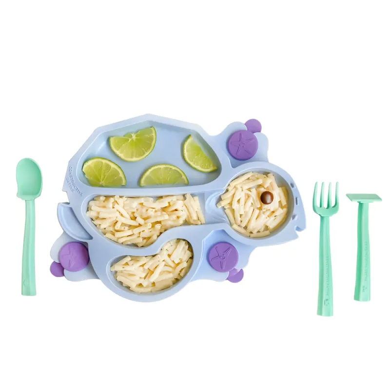 CE Turtle Plate Set