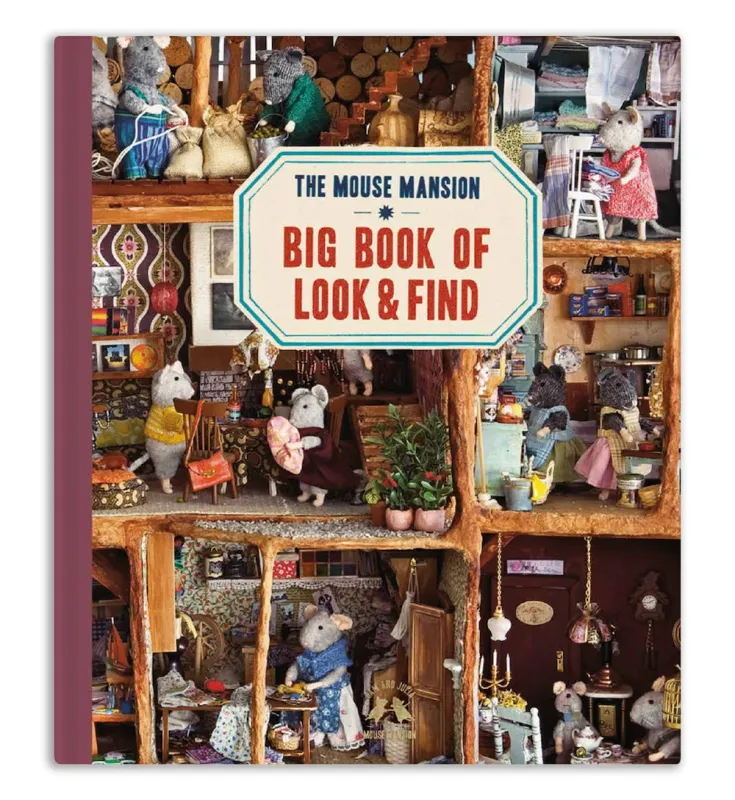 Sam &amp; Julia Look and Find Book