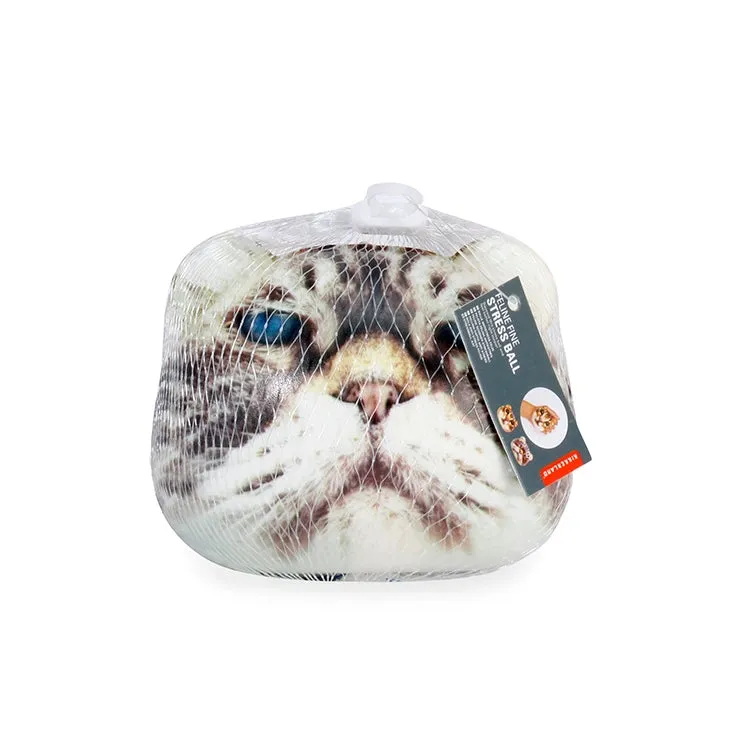 Kikkerland Cat Squish Balls